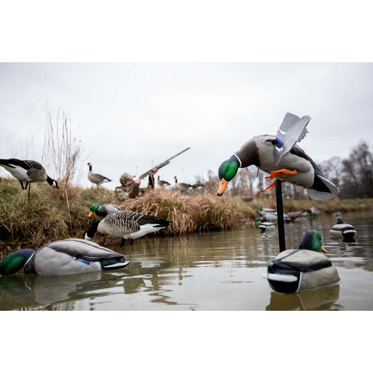 Avian-X Powerflight Mallard Spinning Wing Duck Decoy Image