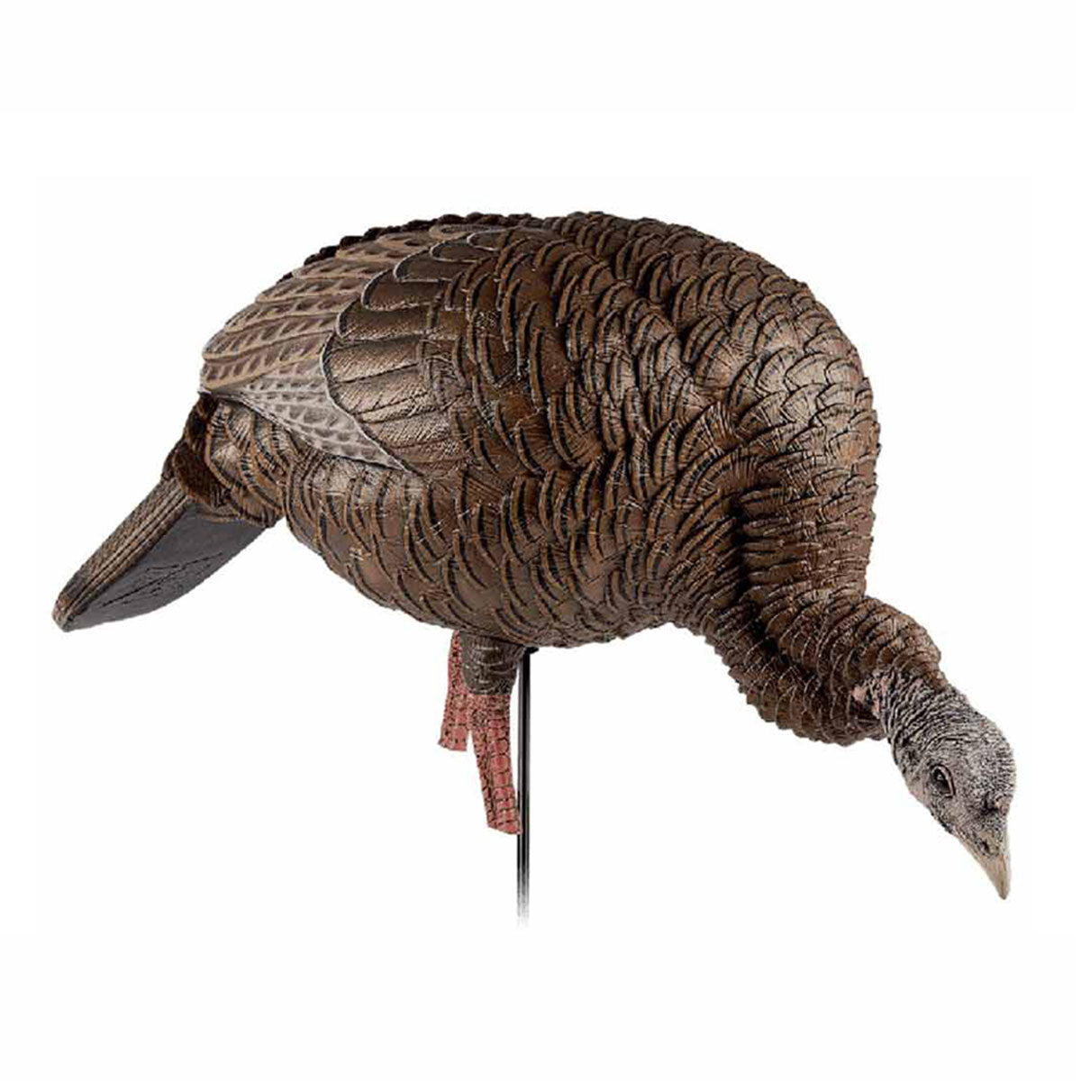 Avian-X HDR Feeding Hen Turkey Decoy Image