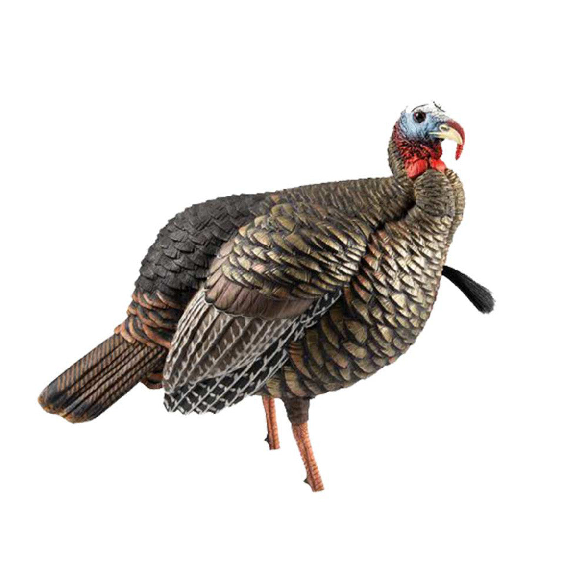 Avian-X HDR Jake Turkey Decoy Submissive Head Image