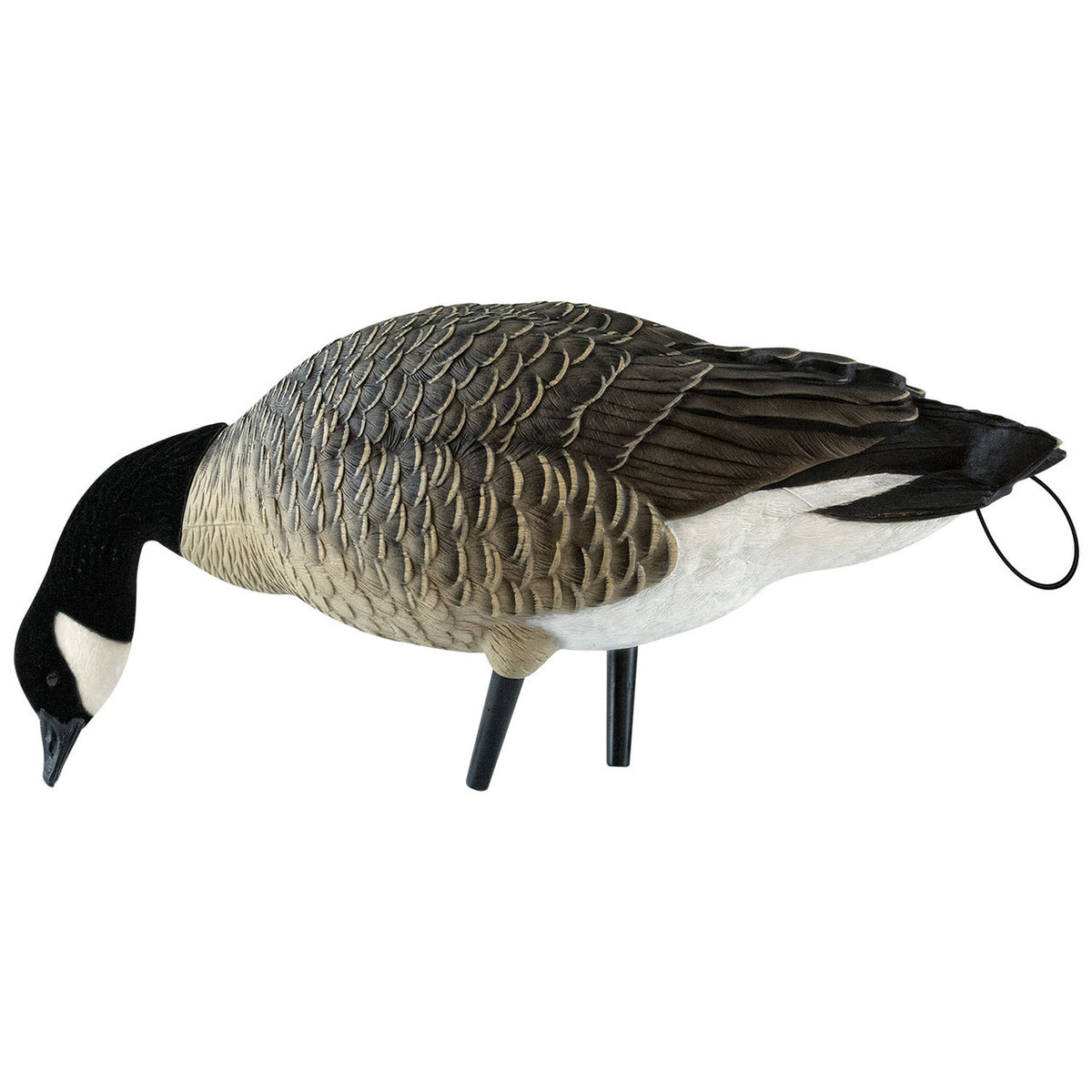 Real Feeder image of Avian-X AXP Lesser Canada Goose Decoy.