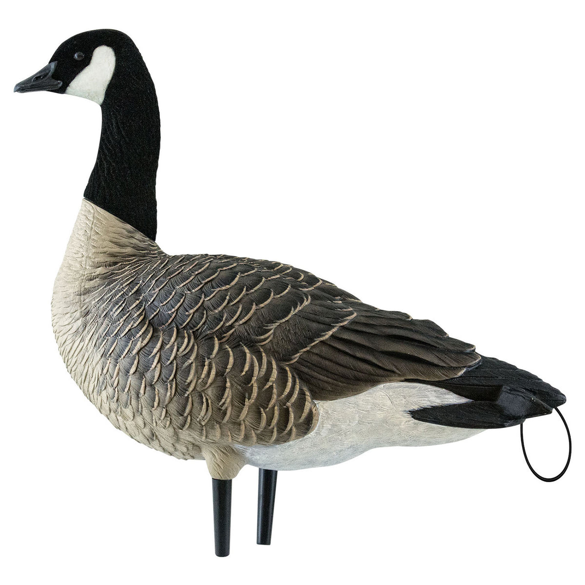 Searcher image of Avian-X AXP Lesser Canada Goose Decoy.