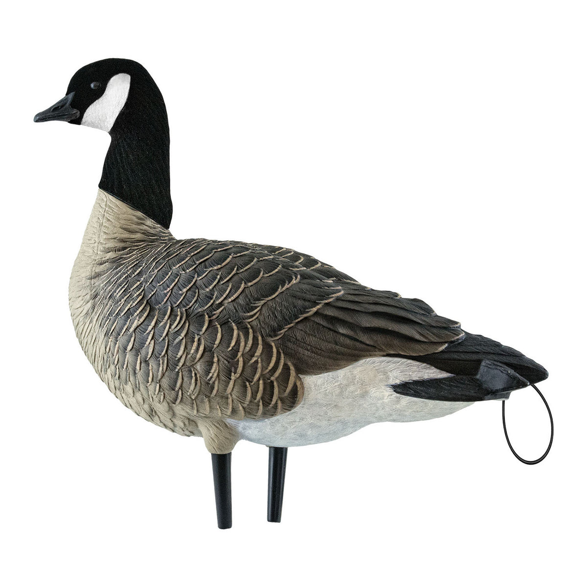 Sentry image of Avian-X AXP Lesser Canada Goose Decoy.