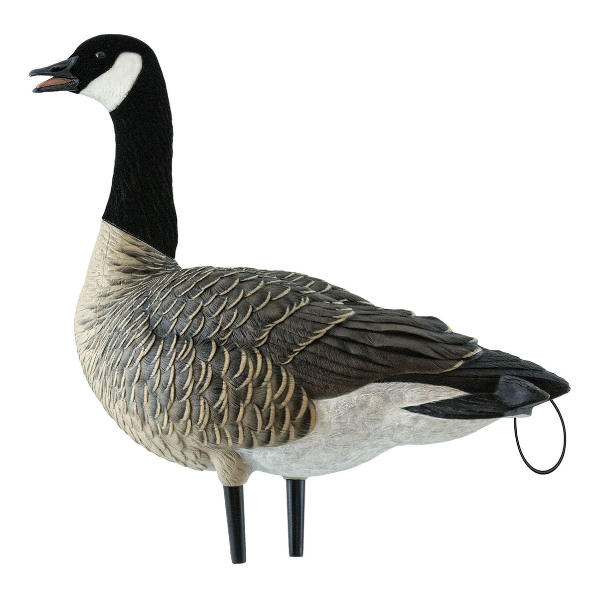 Caller image of Avian-X AXP Lesser Canada Goose Decoy.
