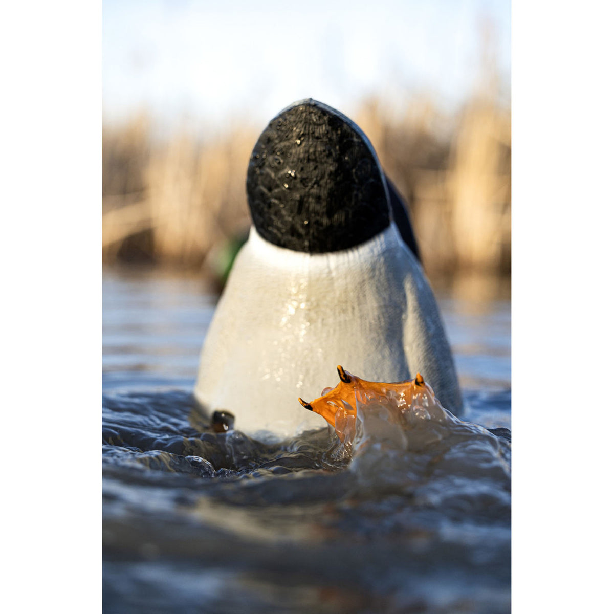 Avian-X Power Kicker Floating Duck Decoy In Water Image