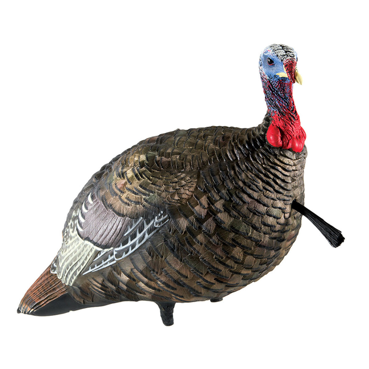 Avian-X LCD Quarter Strut Jake Side Image
