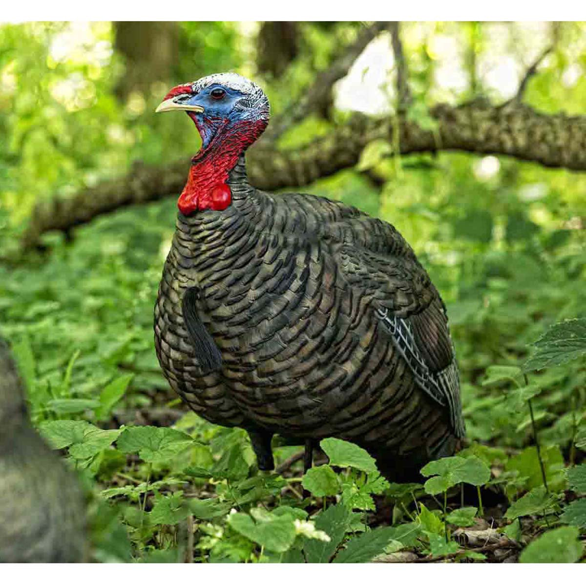 Avian-X LCD Quarter Strut Jake In-the-Field Image