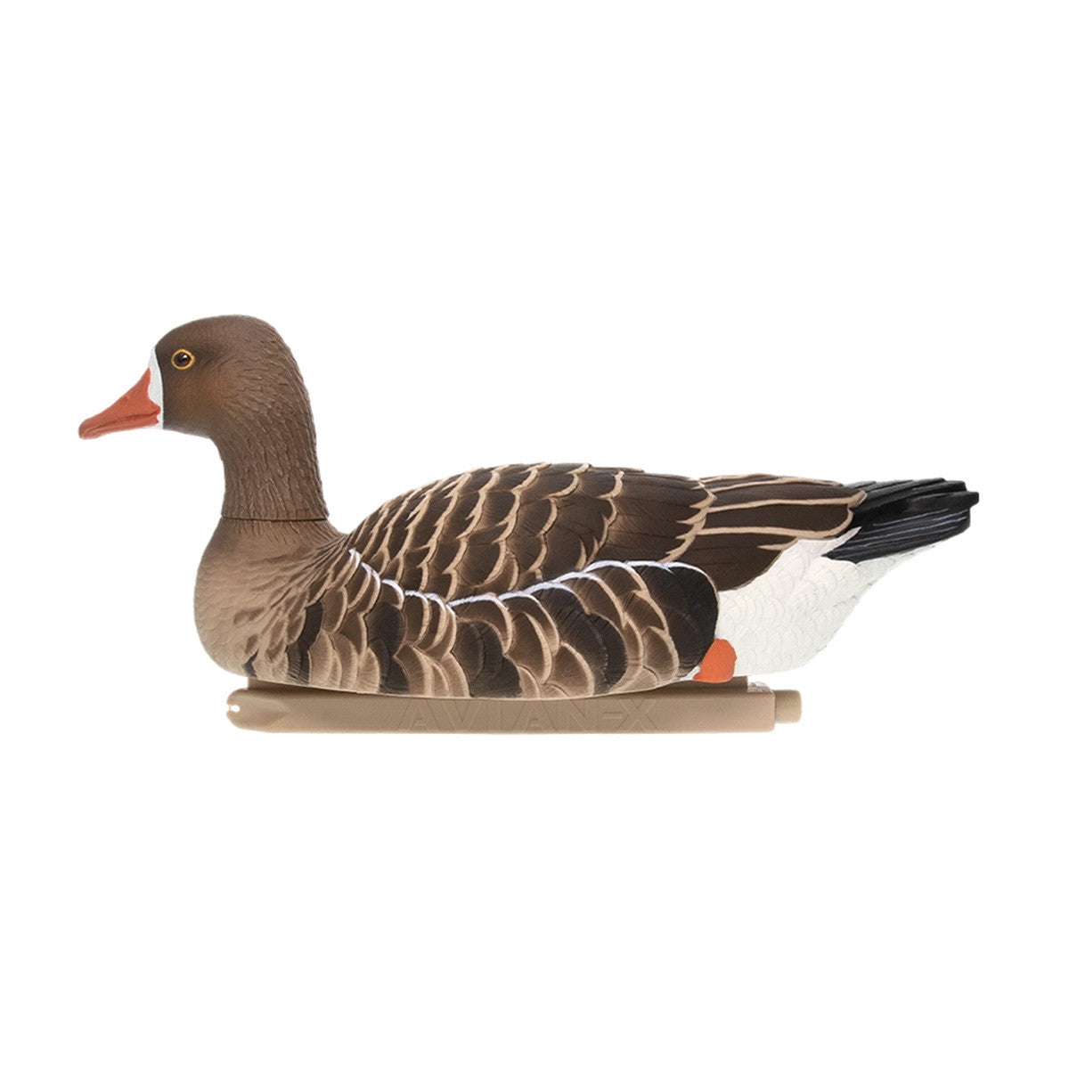Avian-X Topflight Specklebelly Goose Floating Decoy Left Sentry Image
