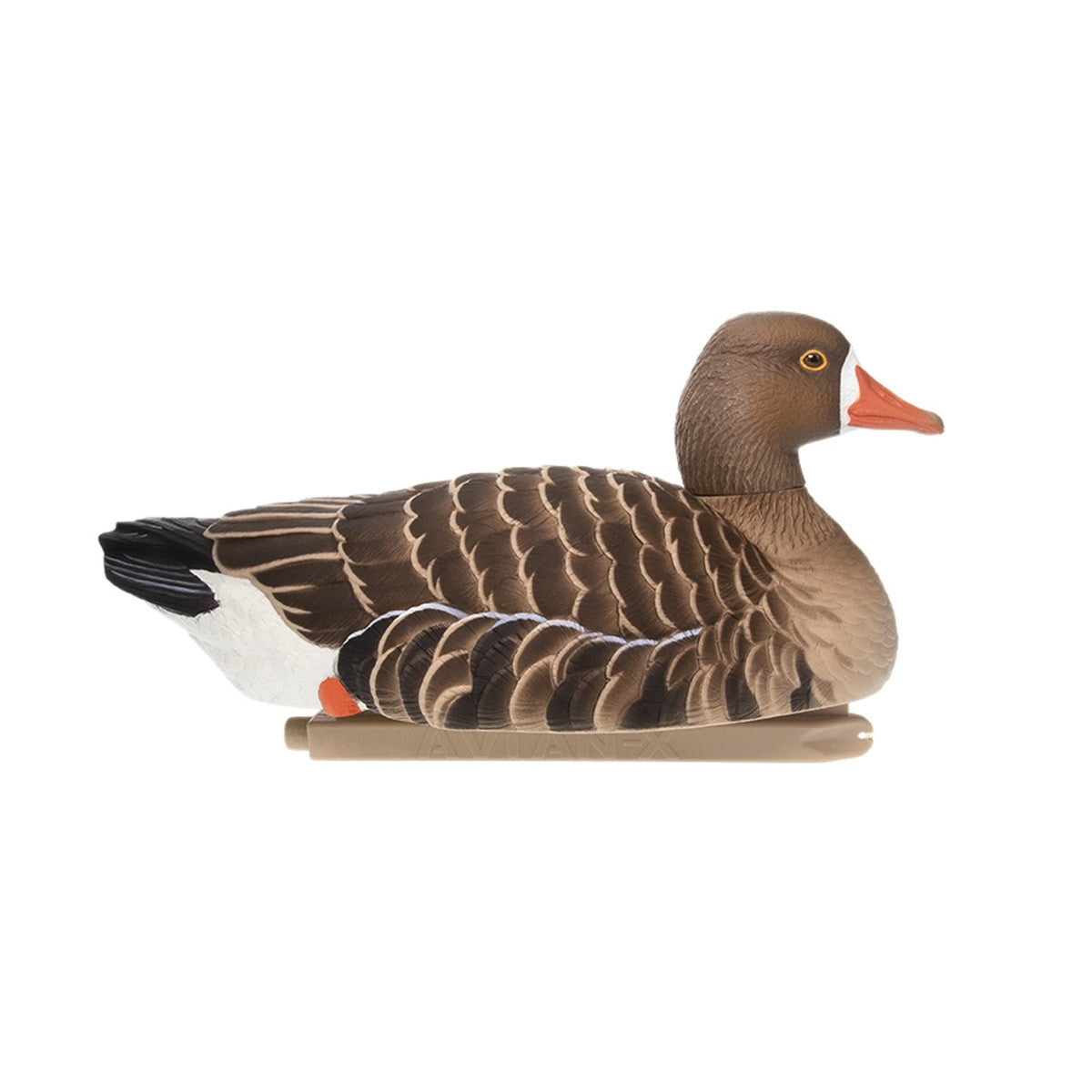 Avian-X Topflight Specklebelly Goose Floating Decoy Right Rester Image