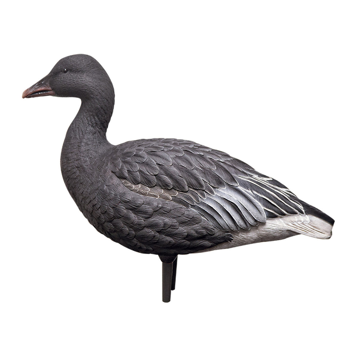 image of Avian-X AXP Fully Body Snow and Blue Mix Goose Decoys Juvie Blue Upright.