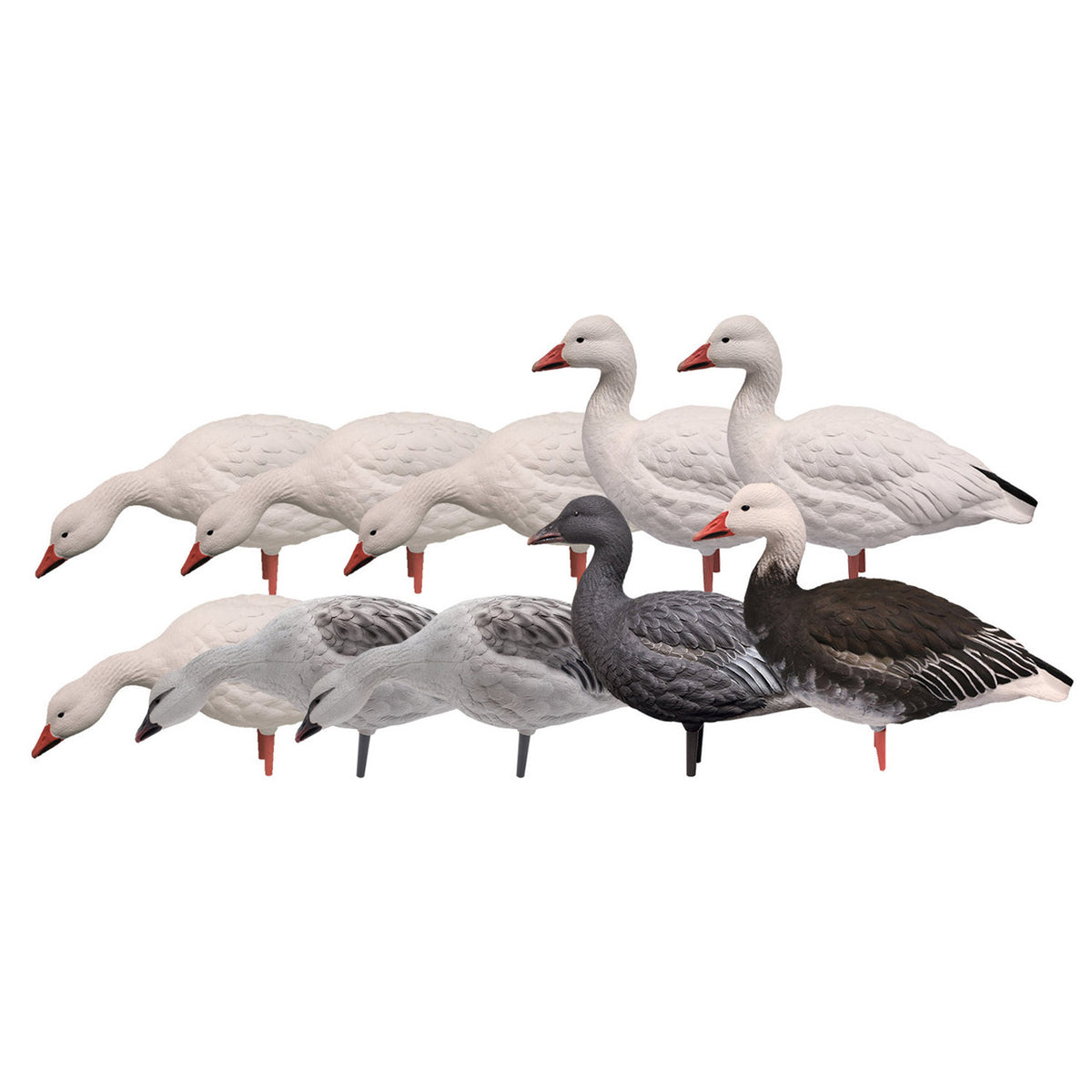 image of Avian-X AXP Fully Body Snow and Blue Mix Goose Decoys, 10 Pack.