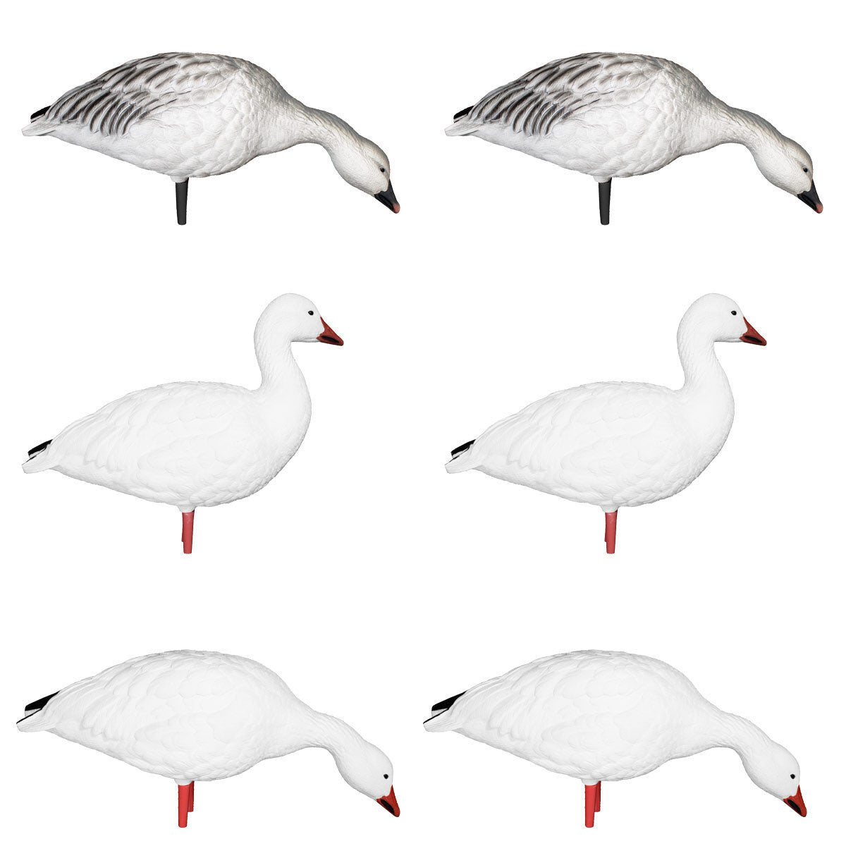 AXP Full Body Snow Goose Decoys - 6 Pack