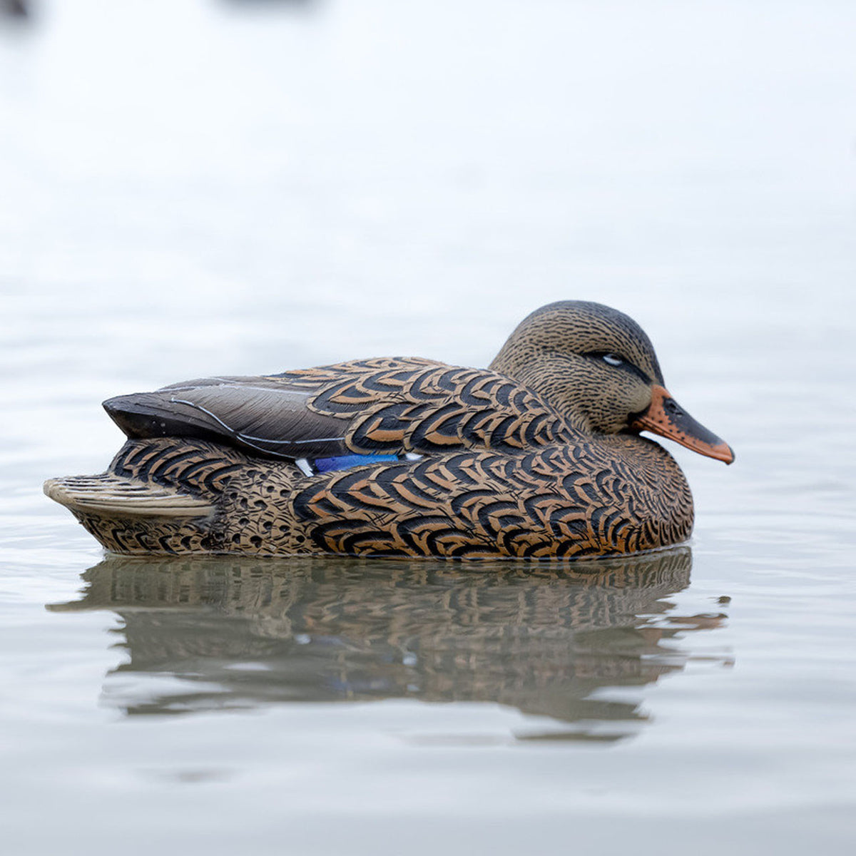 Side Field Image of the Mallard Hen Avian-X Topflight Oversized Floating Mallard Decoy.