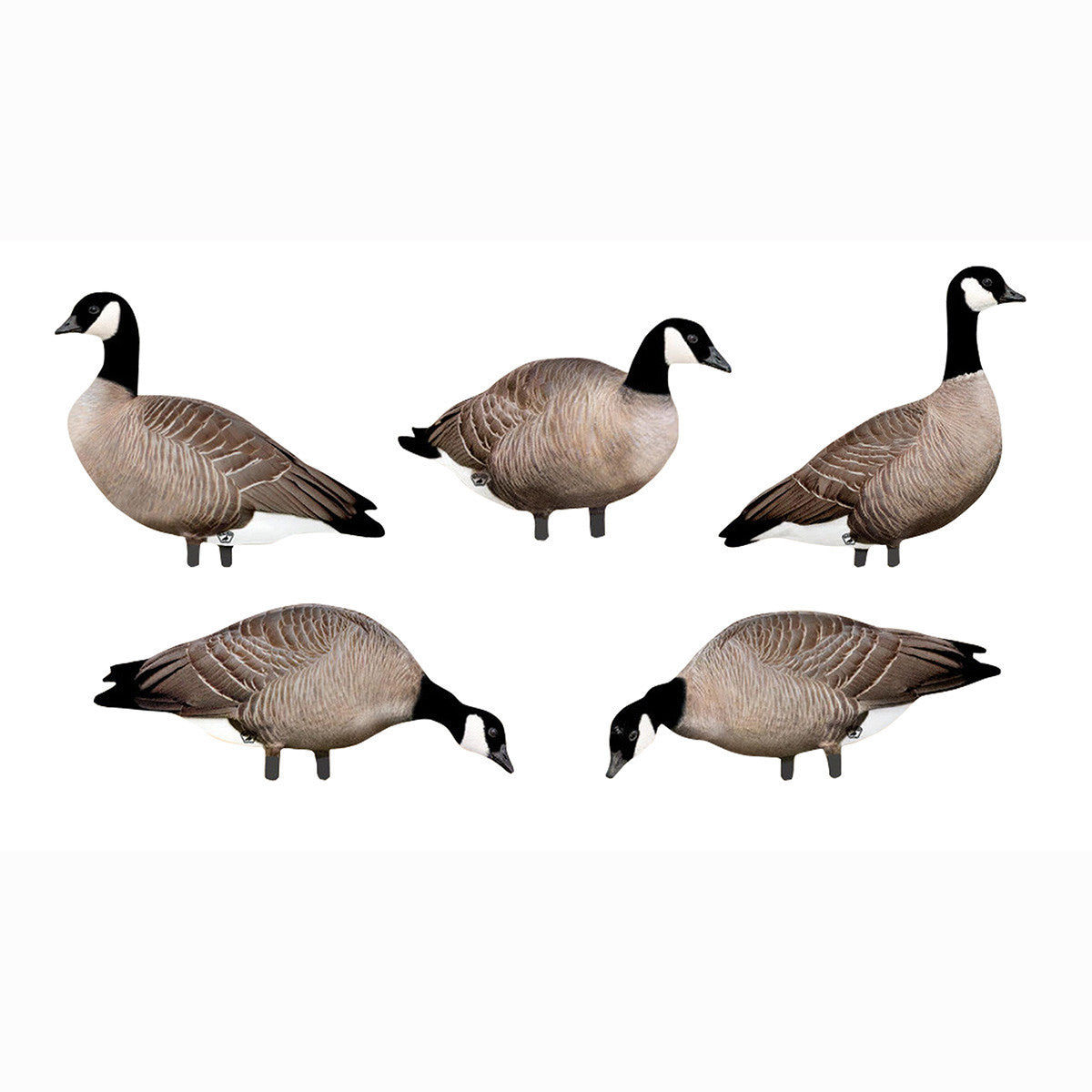 Big Al's Decoys Take Em Style Lesser Canada Goose Silhouette 12 Pack Image