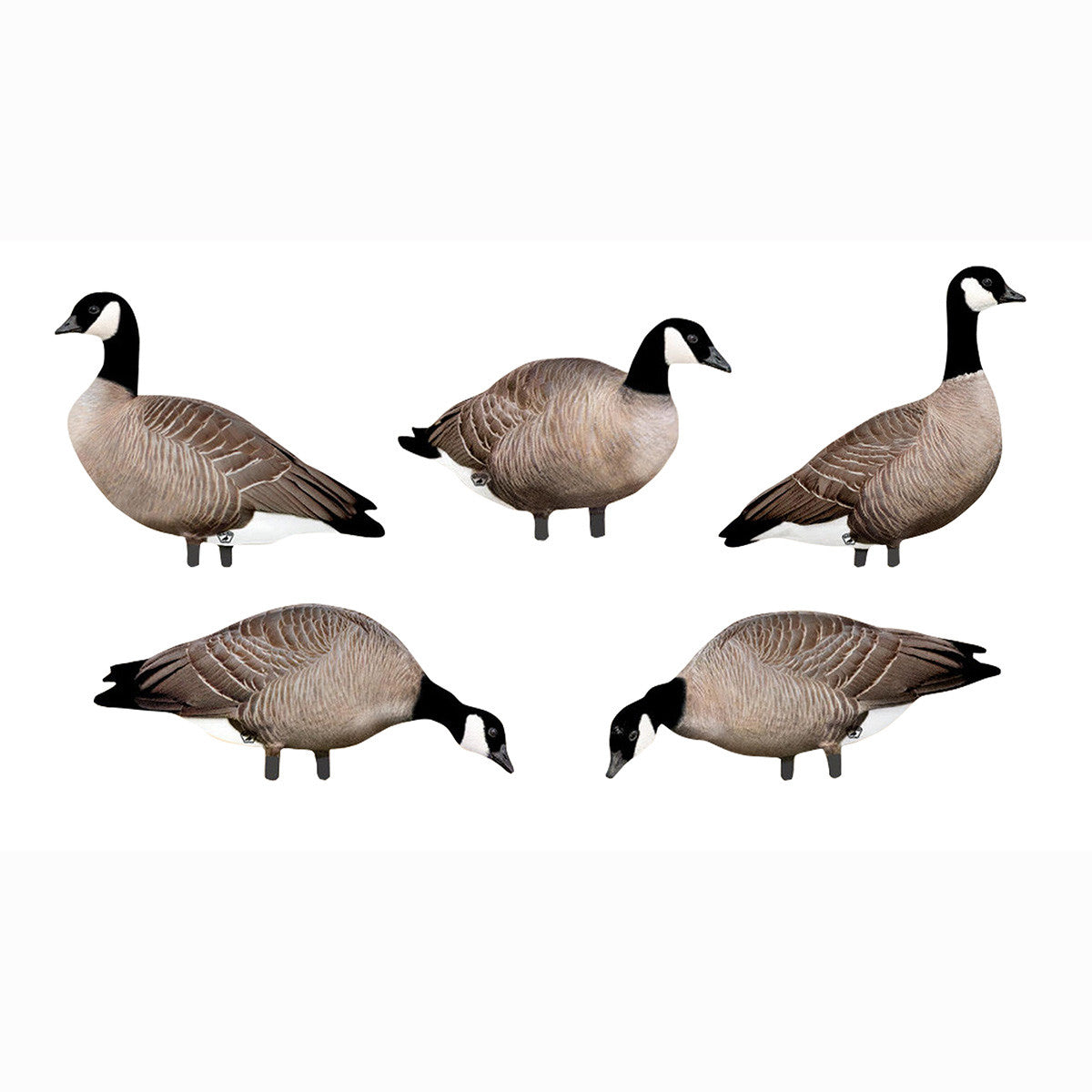 Big Al's Decoys Take Em Style Lesser Canada Goose Silhouette 12 Pack Image