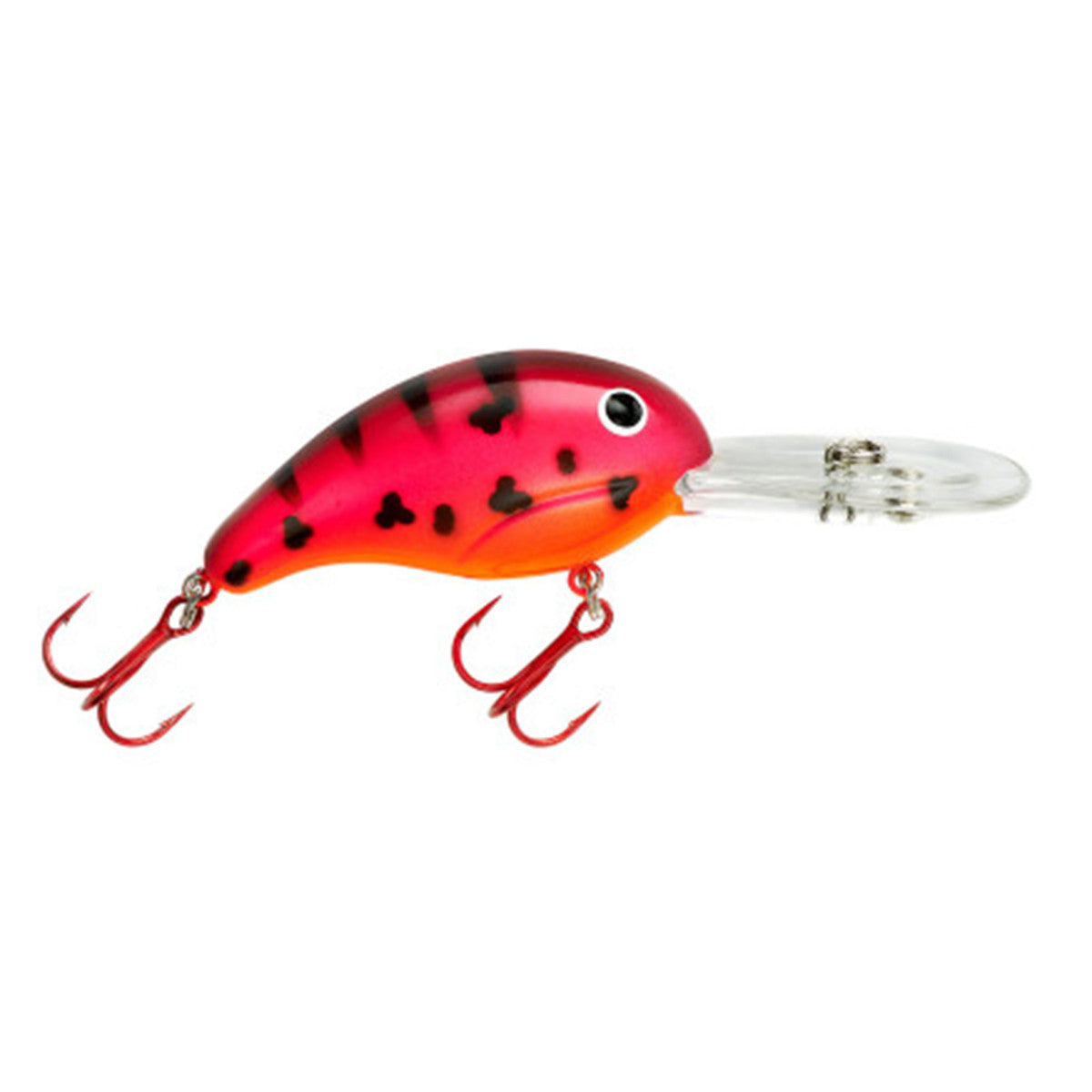 Bandit 300 Series Crankbait - After Shock
