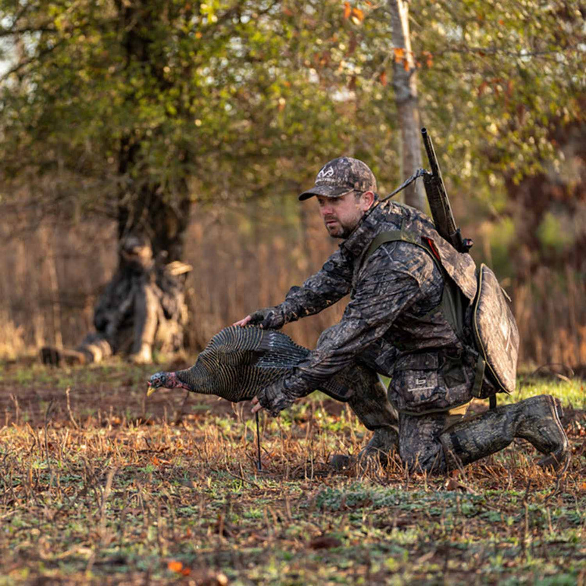 Bone Collector Feeding Turkey Hen Decoy Field Image