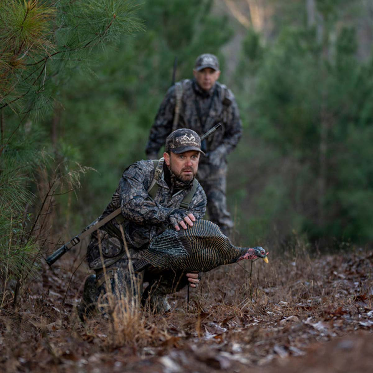 Bone Collector Feeding Turkey Hen Decoy In-the-Field Setting Up Image