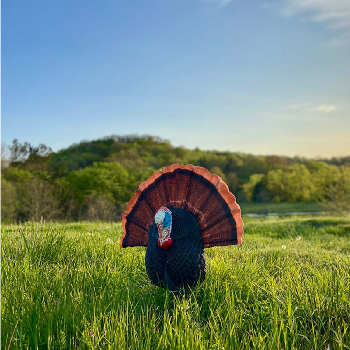 Bone Collector Quarter Body Tom Turkey Decoy In-the-Field Image