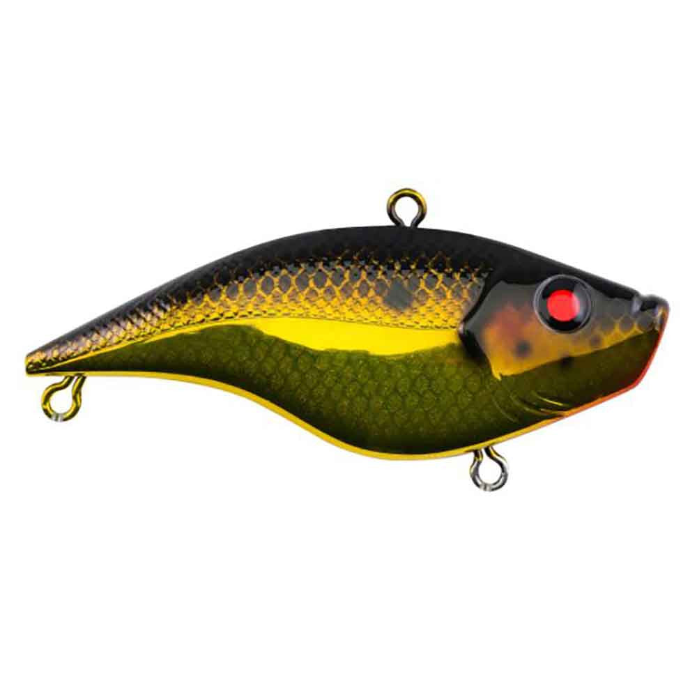 Rubbertail