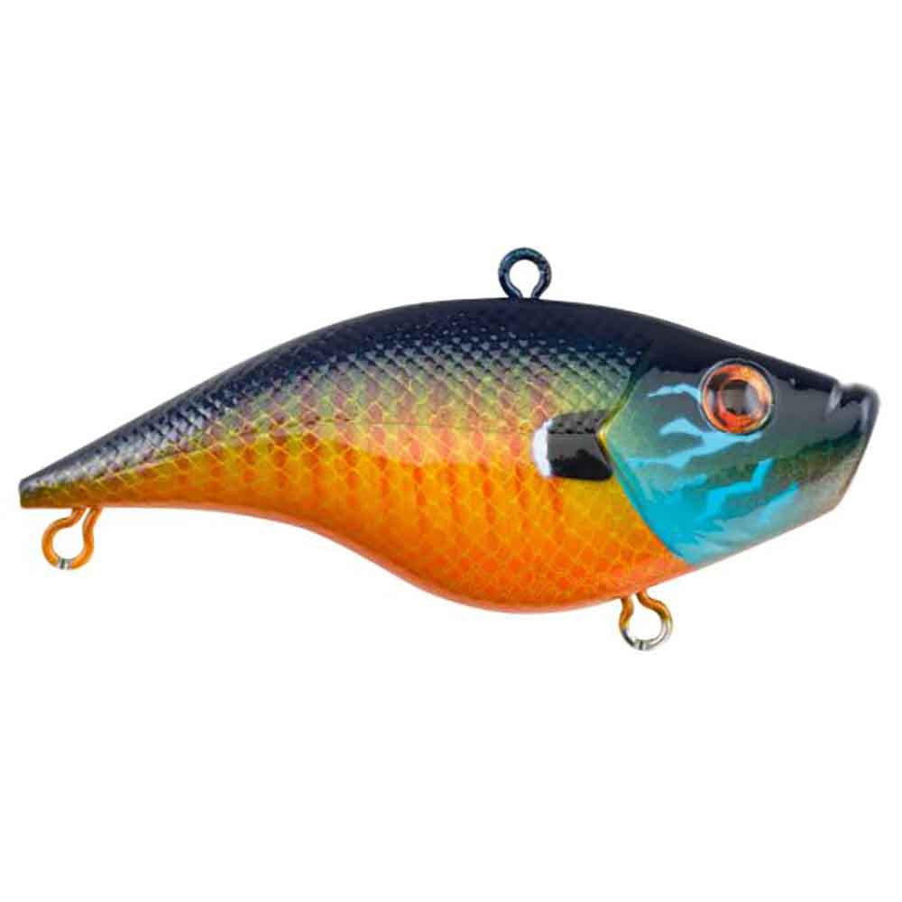 Rubbertail