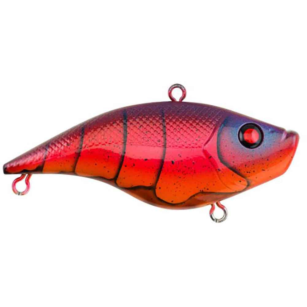 Rubbertail