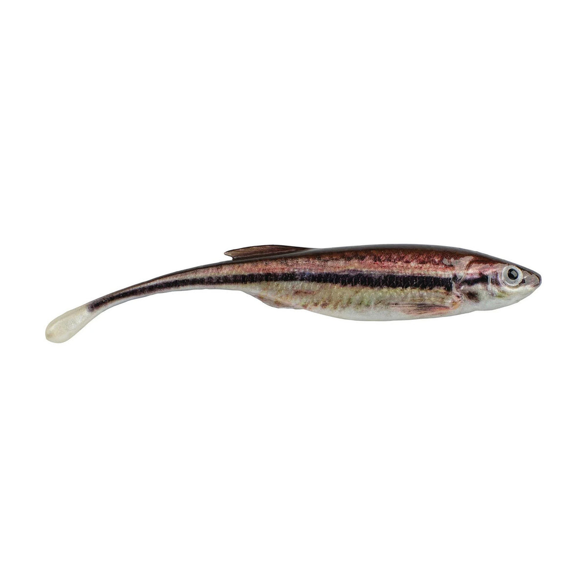 Berkley PowerBait Drip Minnow image in HD Blacknose Shiner