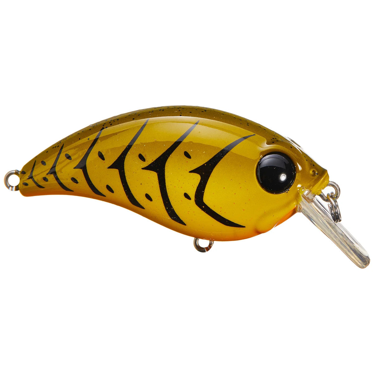 Bill Lewis ATV Squarebill Product Image in Green Pumpkin Craw