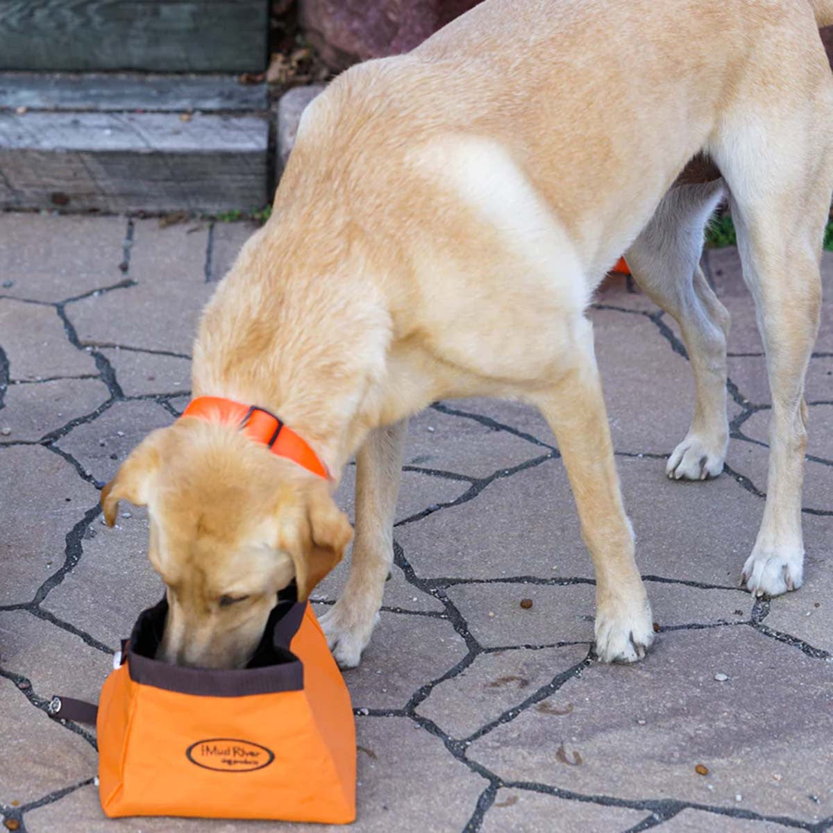 Mud River Renegade Water Bowl