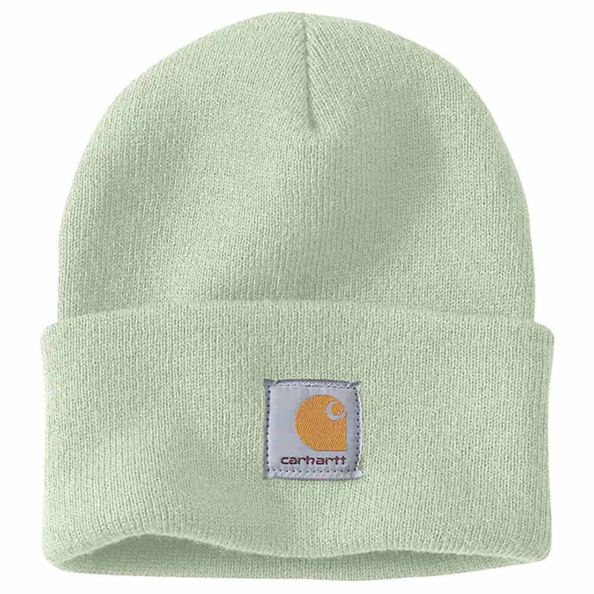 Carhartt Knit Cuffed Beanie Image in Tender Greens Woodrose