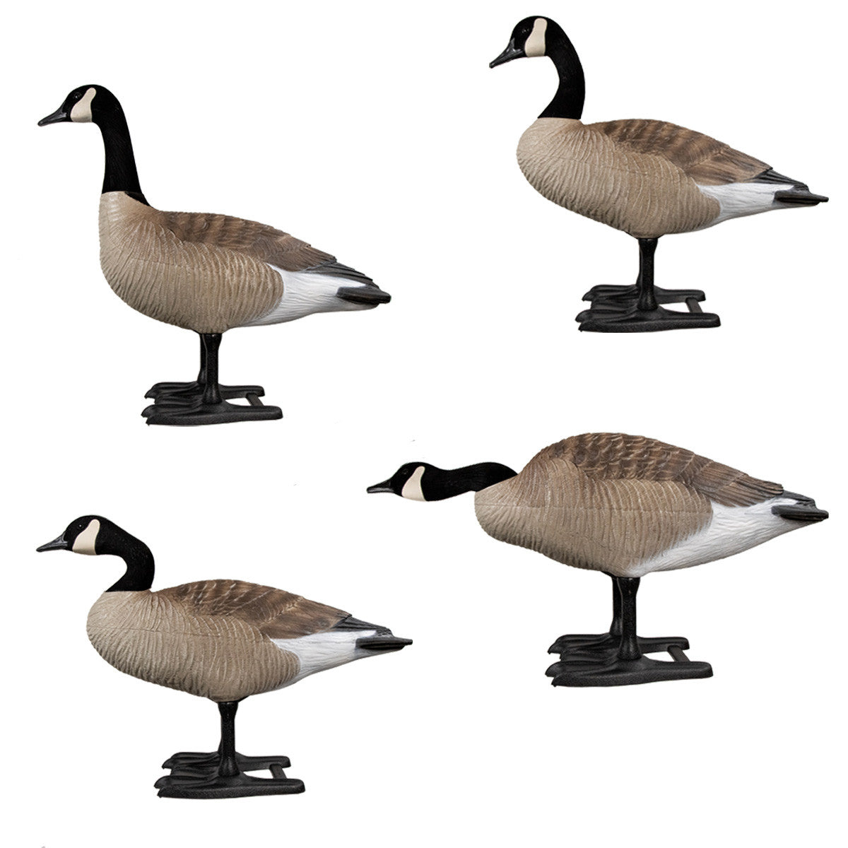 B2 Series Upright Goose Decoys, 4 Pack