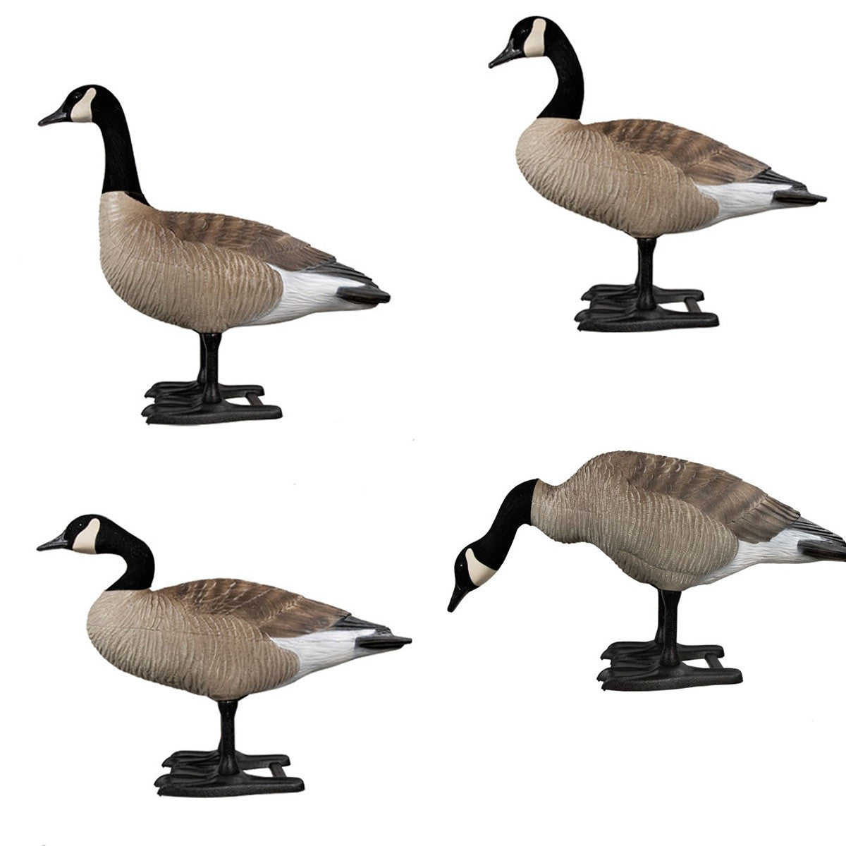 Bigfoot B2 Canada Goose Variety Decoys, 4 Pack  Image