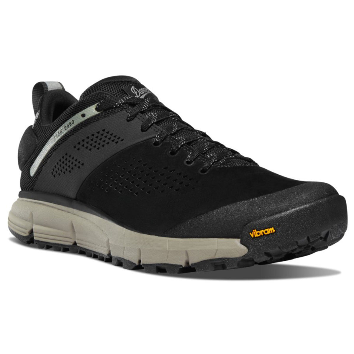 Danner Men's Trail 2650 Shoes Front Angled Image