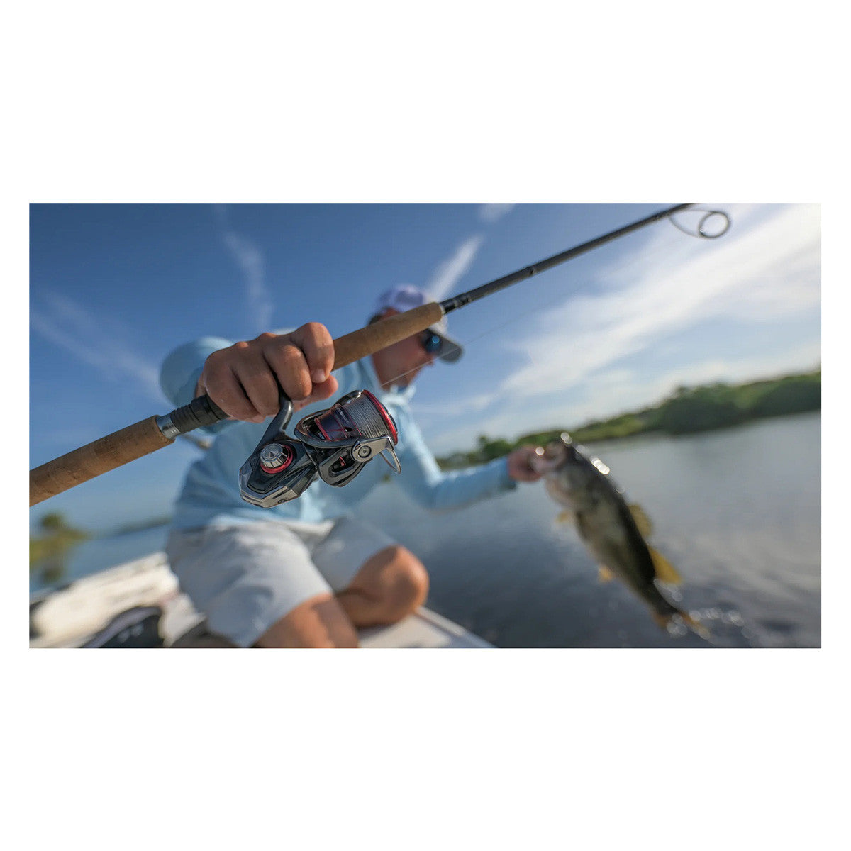 Daiwa Ballistic Monocoque LT Spinning Lifestyle Reel Image