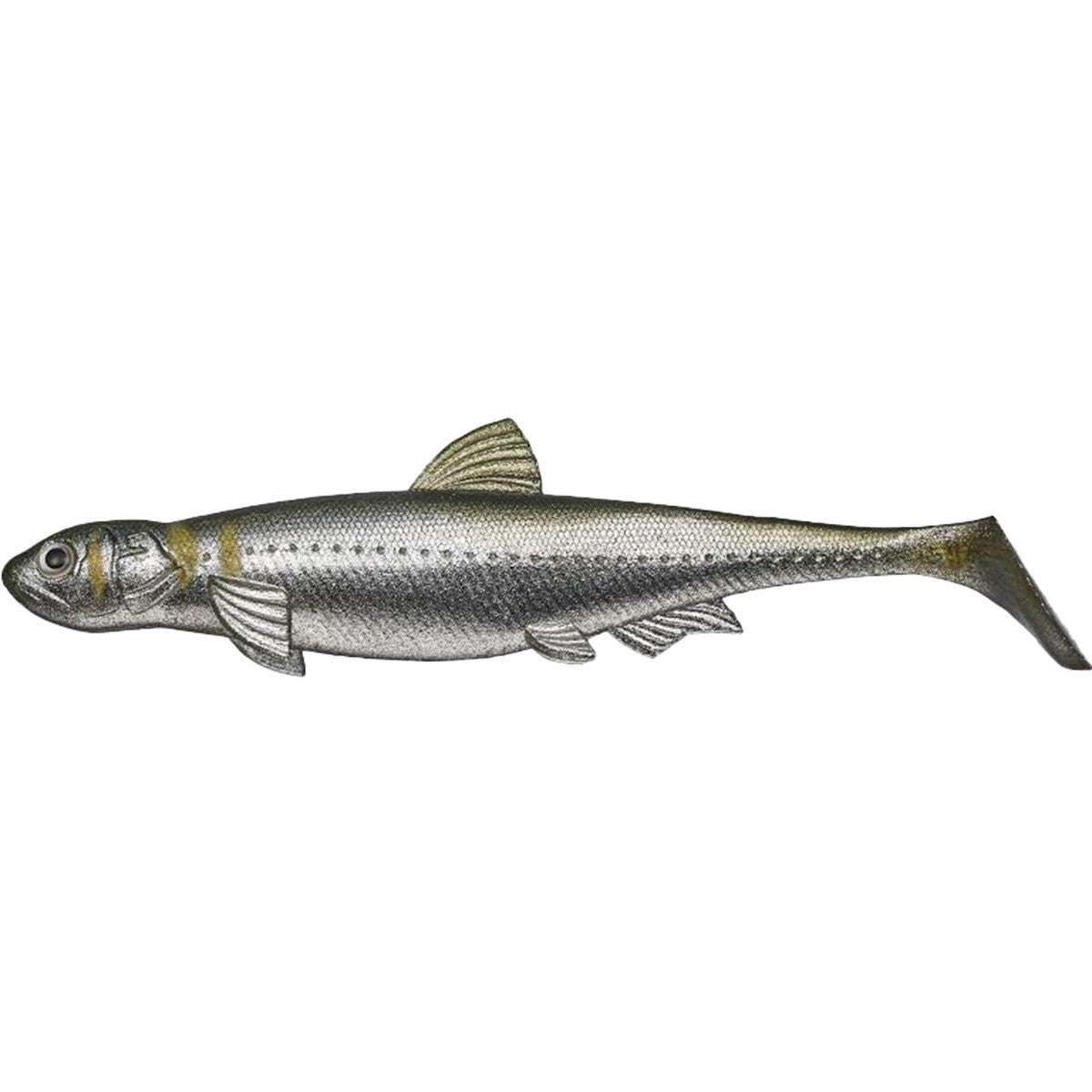 Evergreen Last Ace 140 Swimbait, Single Pack Image in Ayu