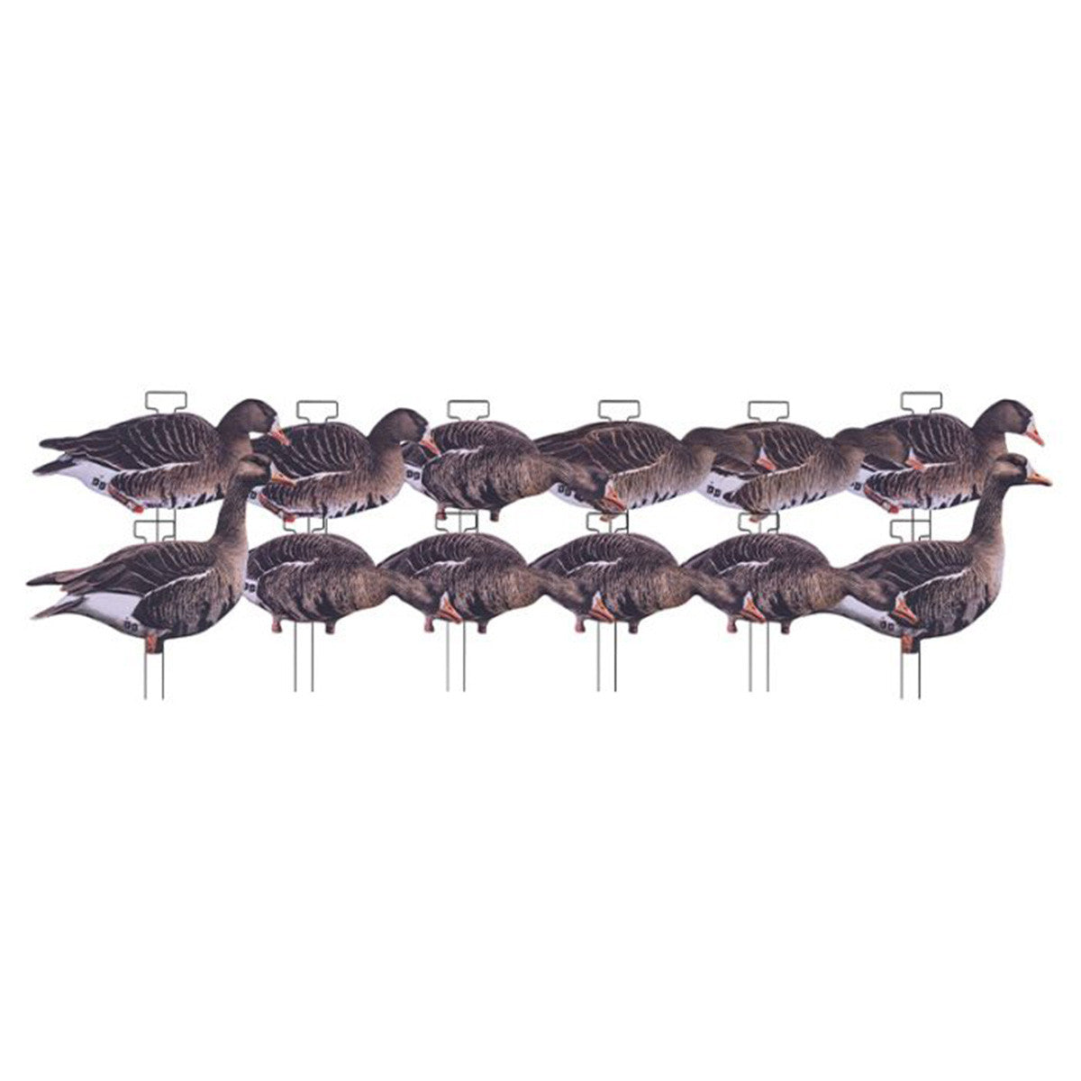 Image of the Dakota Decoys Fully Flocked Whitefront Silhouette Specklebelly Goose Decoys.