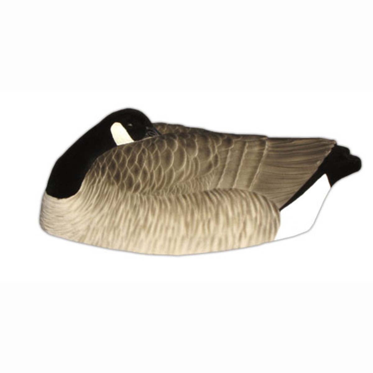 Painted One Piece Canada Sleeper Shell Decoys, 12 Pack