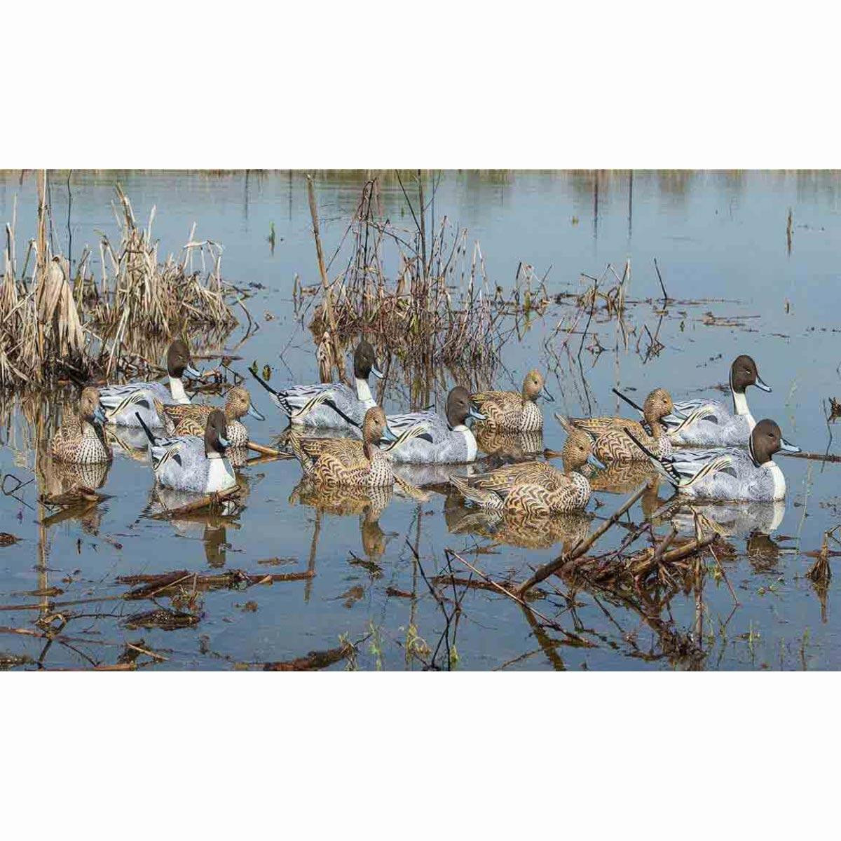 Dakota Decoys X-Treme Pintail Floating Duck Decoys 6 Pack Field Image