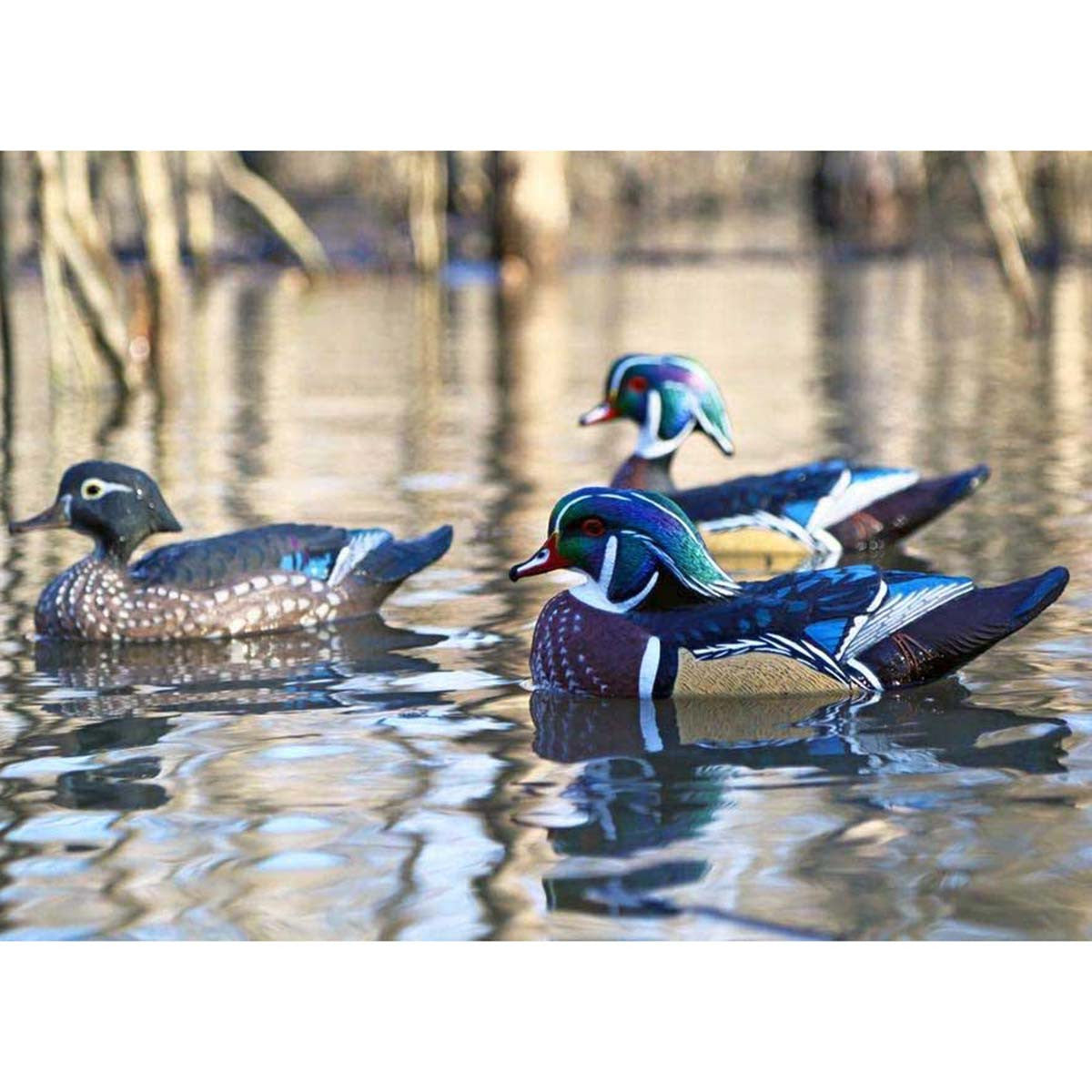Dakota Decoys X-Treme Floating Wood Duck Decoys Field Image