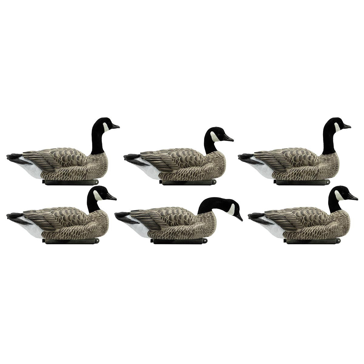 Dakota X-Treme Lesser Floater Canada Goose Decoys, 6 Pack Image