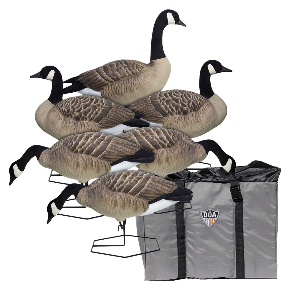 Rogue Series Full Body Canada Goose Decoys, 6 Pack & Full Body 6 Slot Bag
