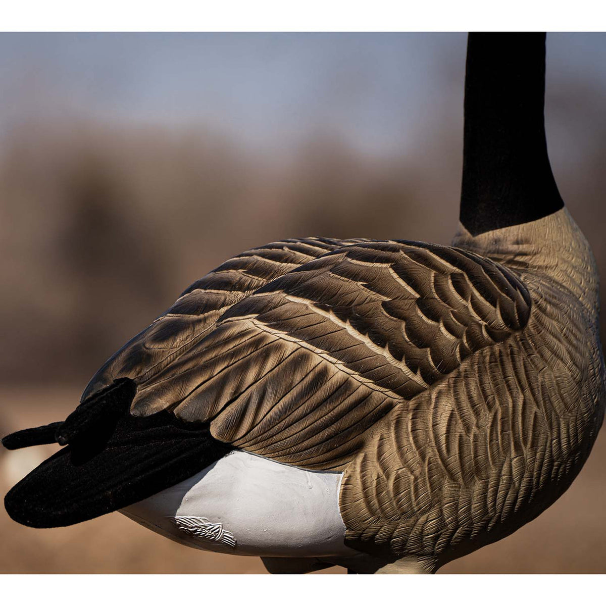 DOA Decoys Rogue Series Full Body Canada Goose Decoy Detailed Image