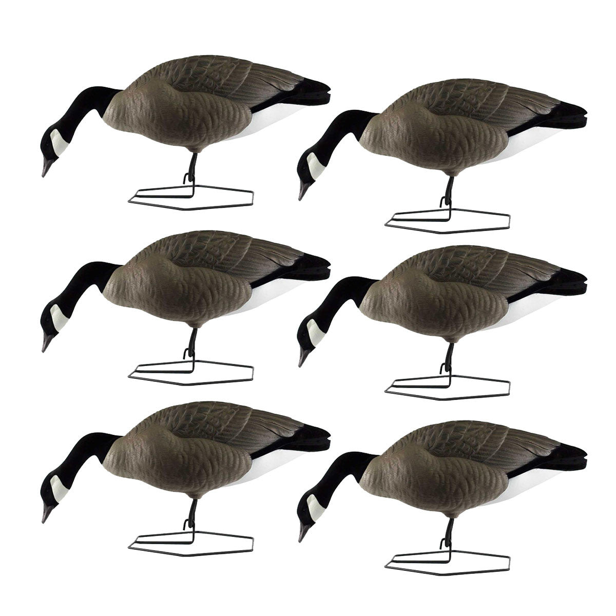 DOA Decoys Rogue Series Goose Feeder Decoys, 6 Pack Image