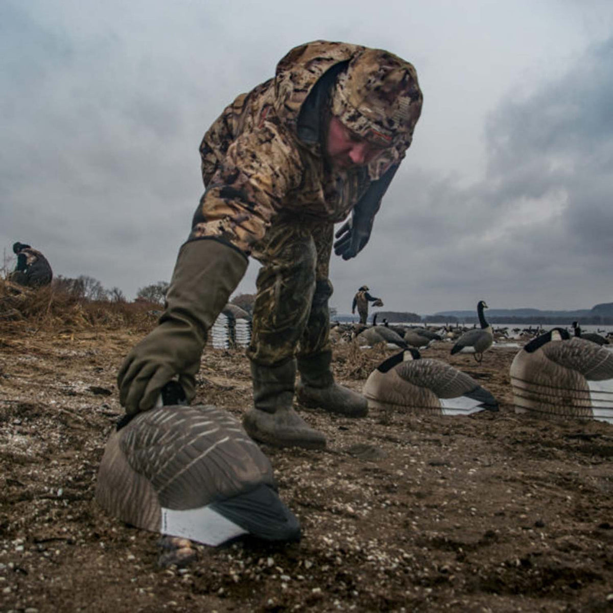 DOA Decoys Rogue Series Goose Sleeper Shells, 12 Pack Field Image