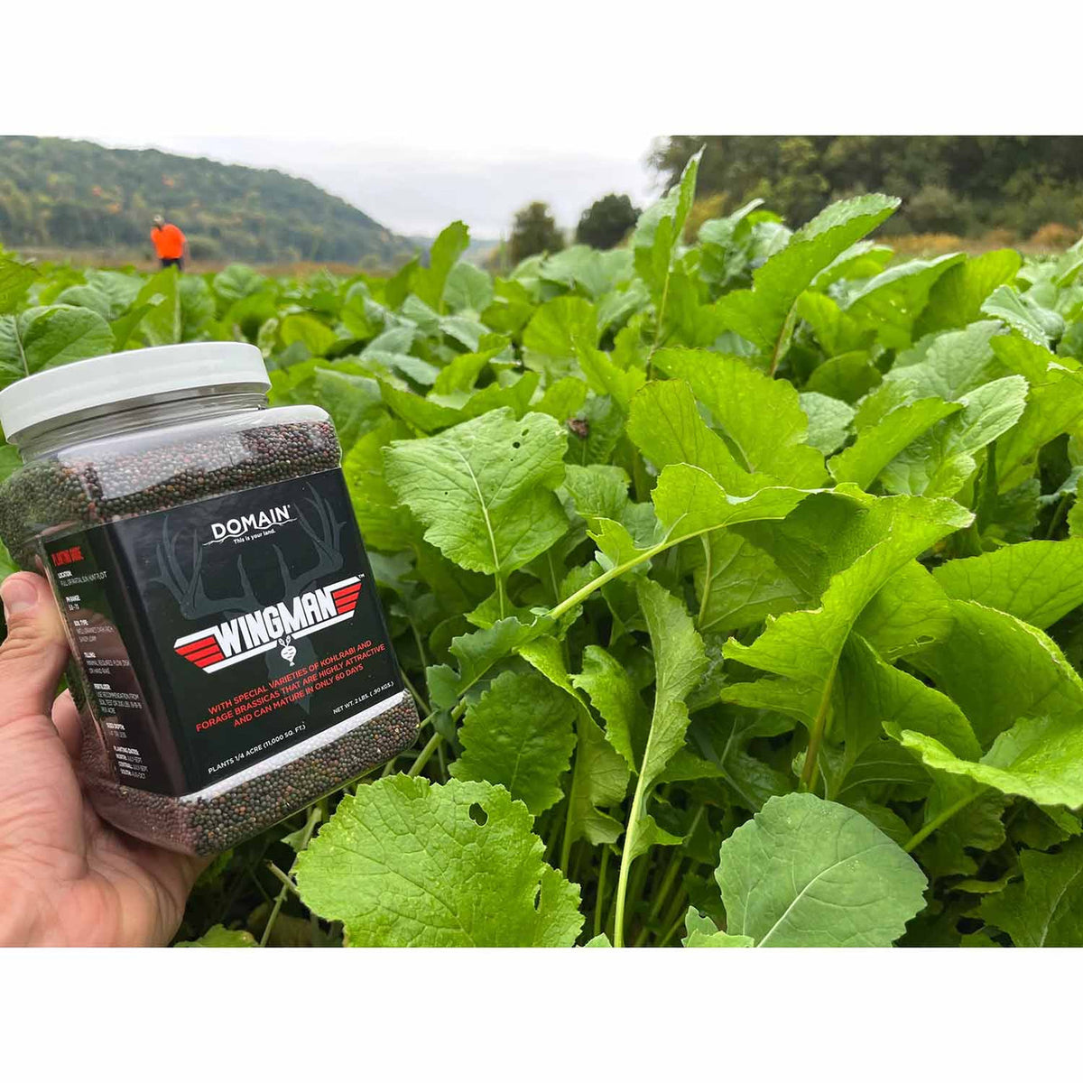 Image of Domain Wingman Food Plot Seed surrounded by plants.