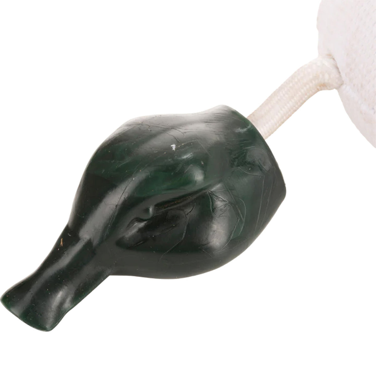 Drake Team Gun Dog Firehose Duck Training Bumper close up on head image