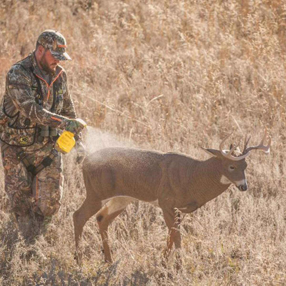 Dave Smith Decoys Posturing Buck Whitetail Decoy In-the-Field Image
