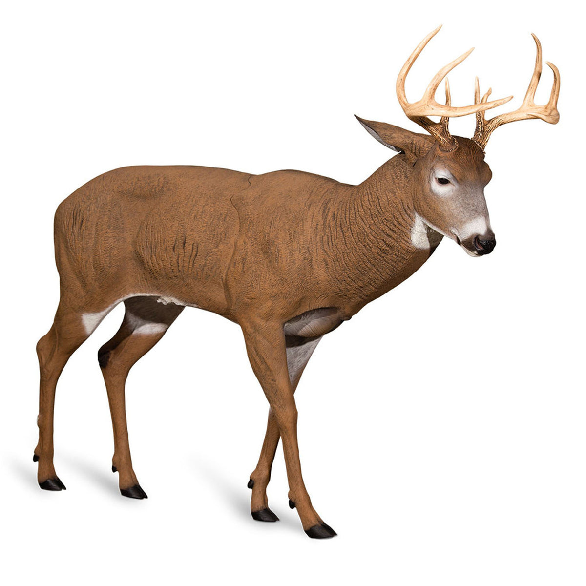 Dave Smith Decoys Posturing Buck Whitetail Decoy Product Image