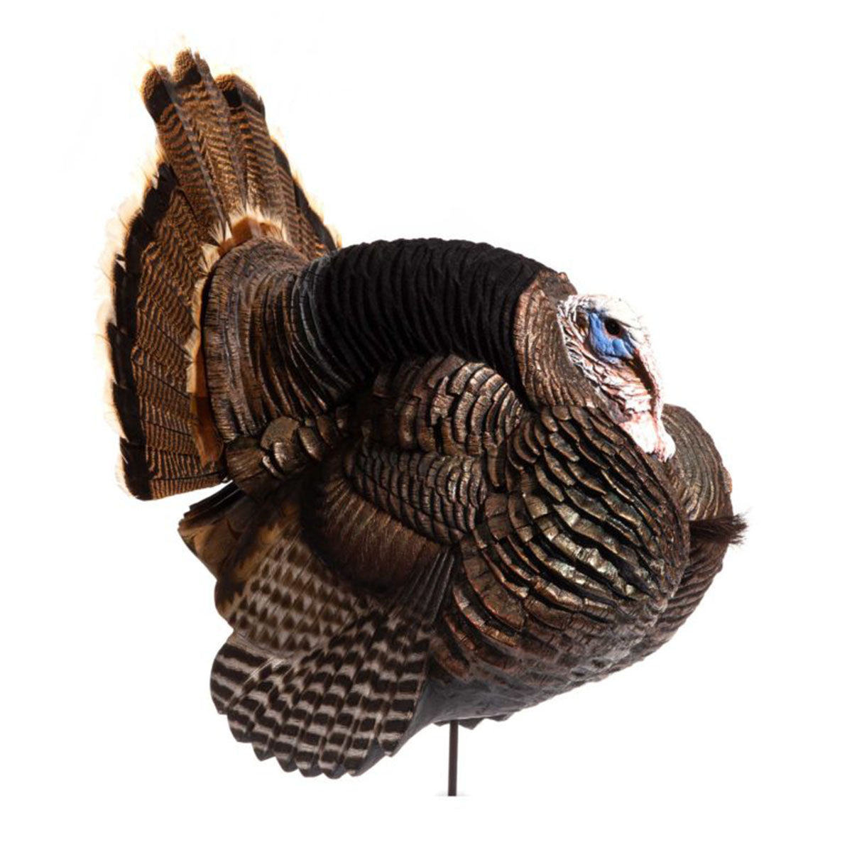 Jake Strutter White Face Turkey Decoy Image