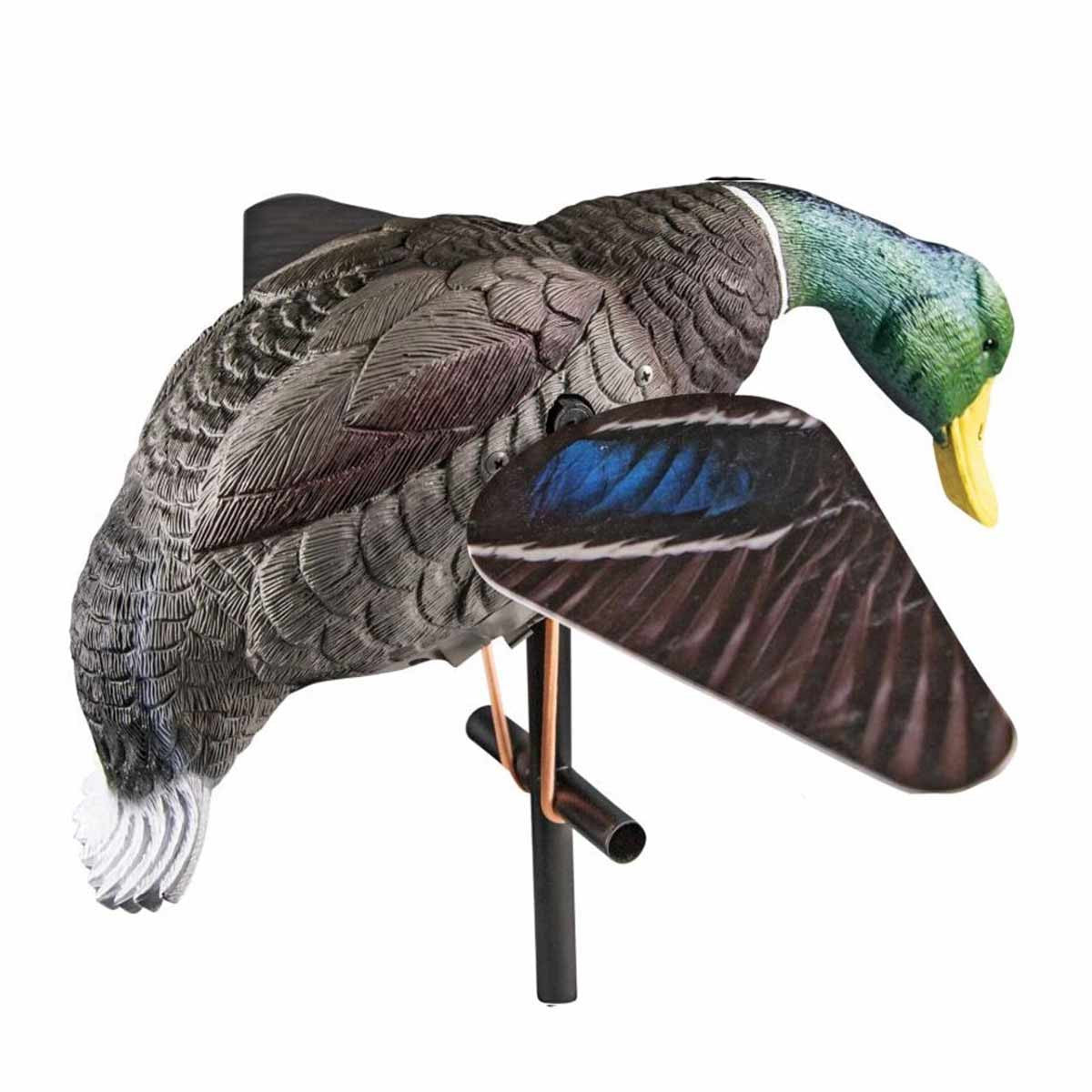 Lucky Duck Lucky HD Drake Product Image