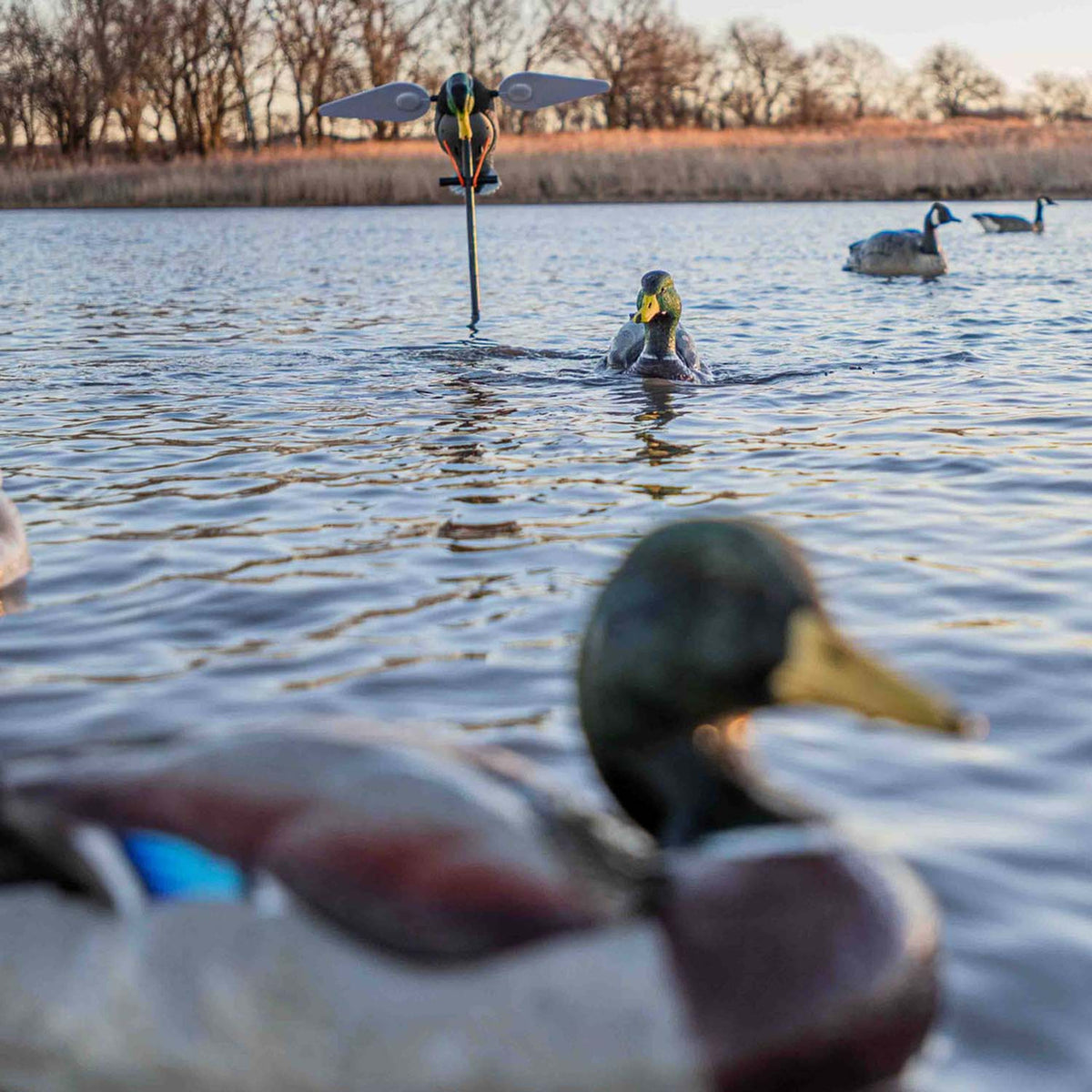 Luck Duck Super Swimmer HDi Water Motion Duck Decoy In-the-Field Image